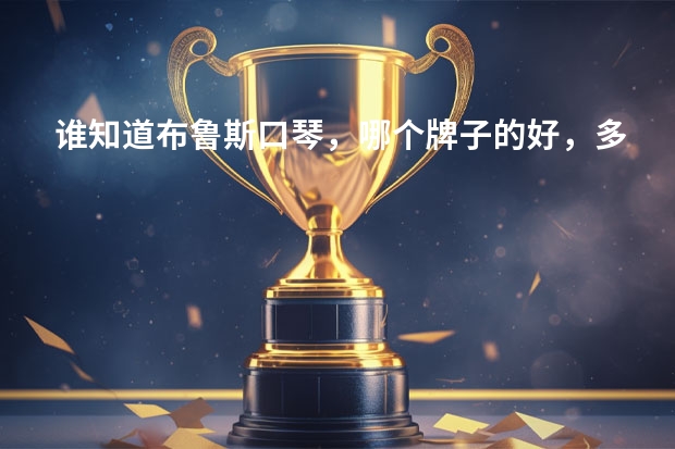 谁知道布鲁斯口琴，哪个牌子的好，多少钱？