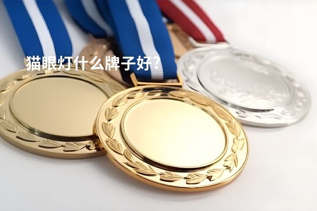 猫眼灯什么牌子好?