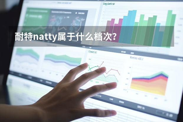 耐特natty属于什么档次？