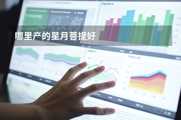 哪里产的星月菩提好
