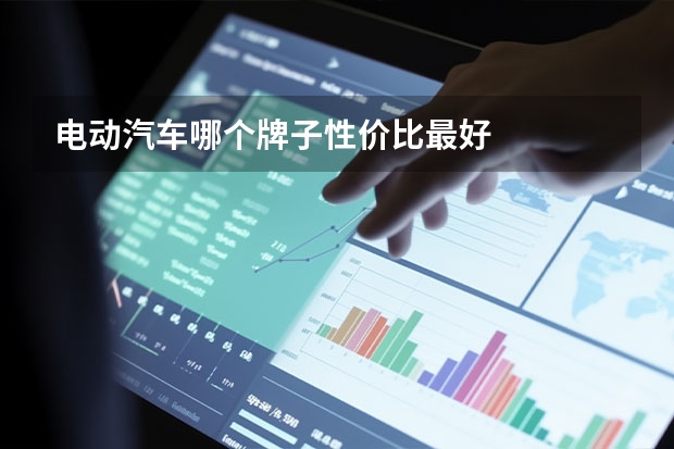 电动汽车哪个牌子性价比最好