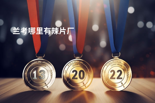 兰考哪里有辣片厂