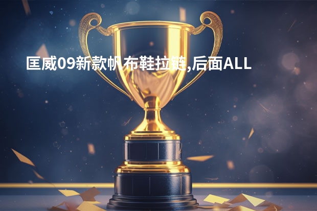 匡威09新款帆布鞋拉链,后面ALL STAR中间那个星下面有个小R吗?
