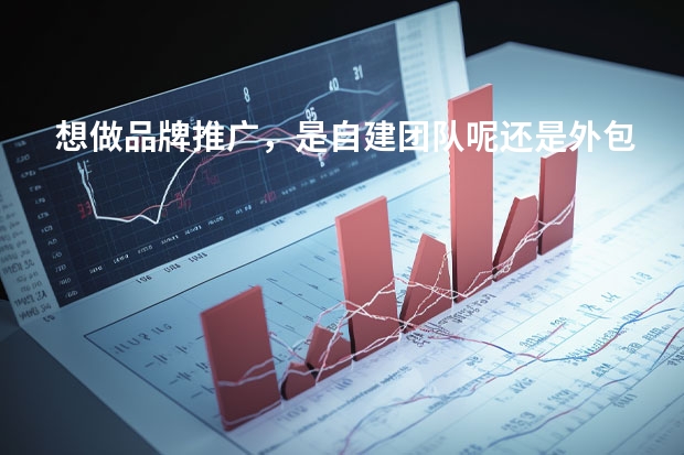 想做品牌推广，是自建团队呢还是外包给其他公司好？