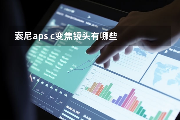 索尼aps c变焦镜头有哪些