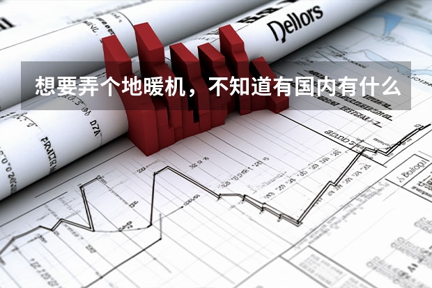 想要弄个地暖机，不知道有国内有什么好的选择？