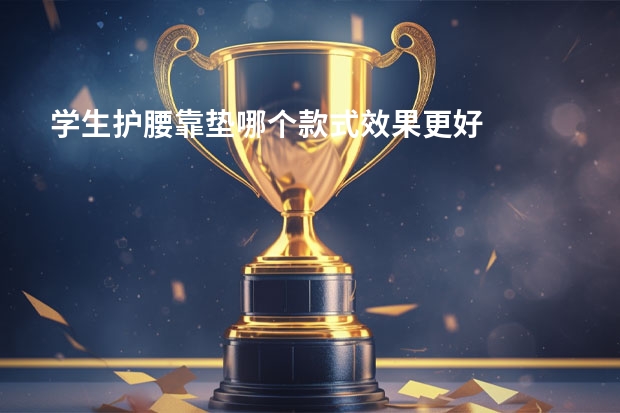 学生护腰靠垫哪个款式效果更好