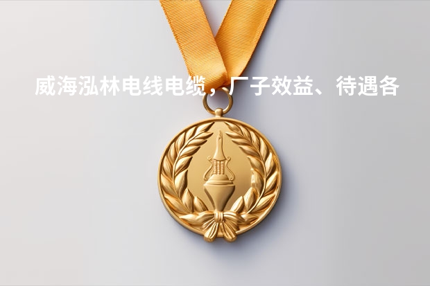 威海泓林电线电缆，厂子效益、待遇各怎么样