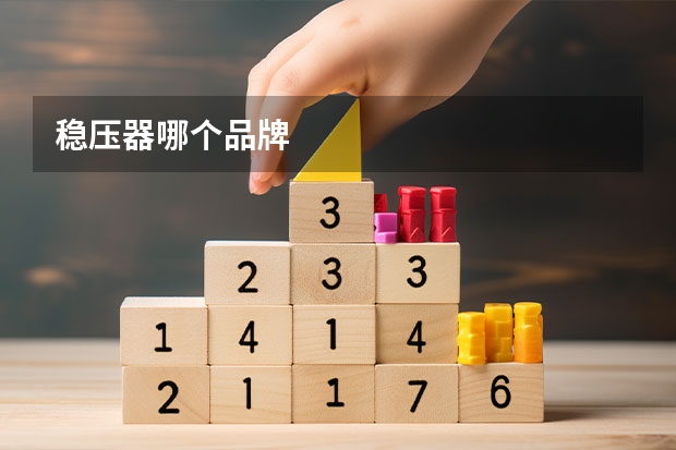 稳压器哪个品牌