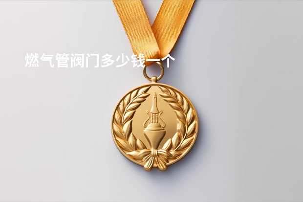 燃气管阀门多少钱一个