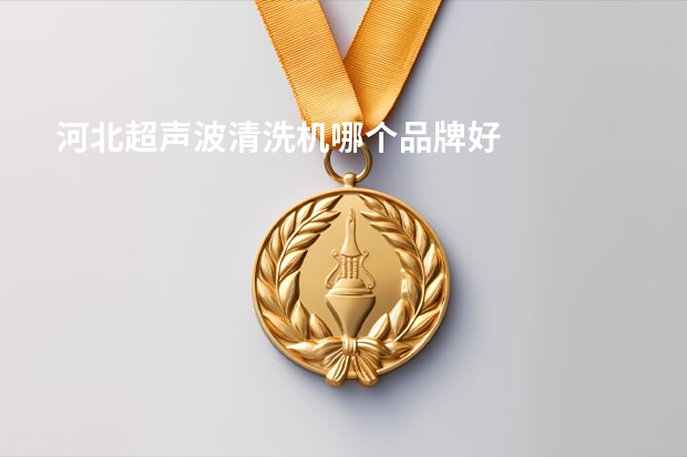 河北超声波清洗机哪个品牌好