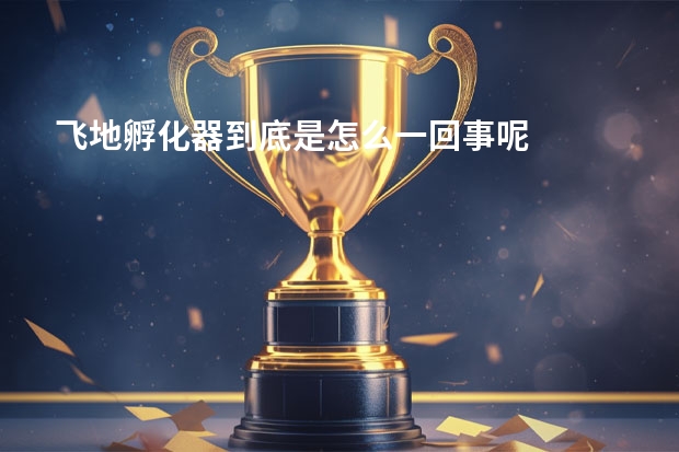 飞地孵化器到底是怎么一回事呢