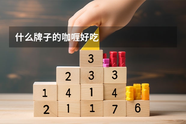 什么牌子的咖喱好吃