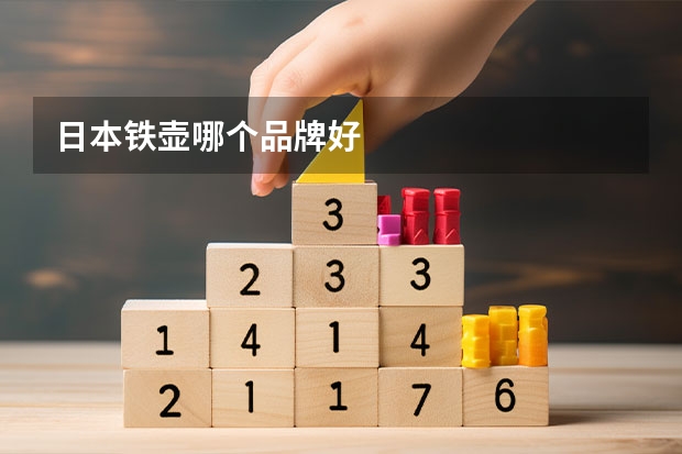 日本铁壶哪个品牌好