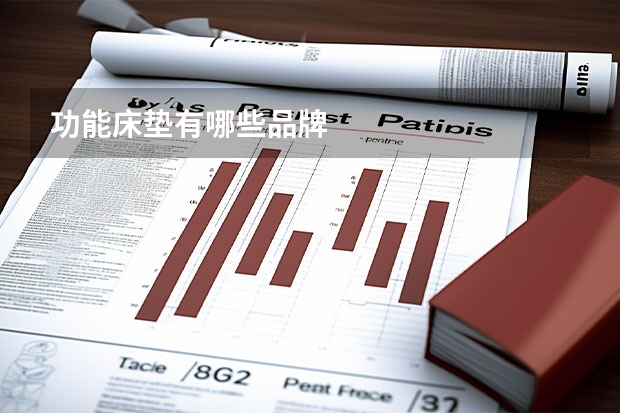 功能床垫有哪些品牌