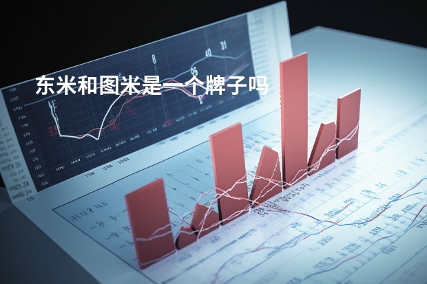 东米和图米是一个牌子吗