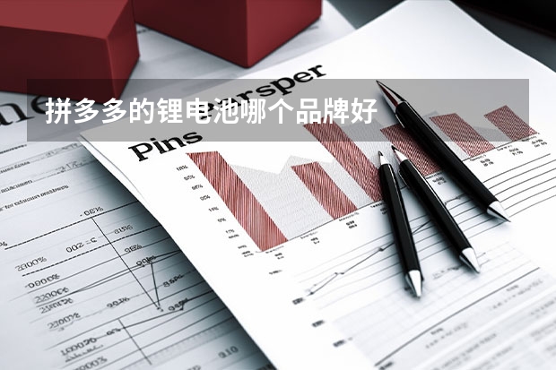 拼多多的锂电池哪个品牌好