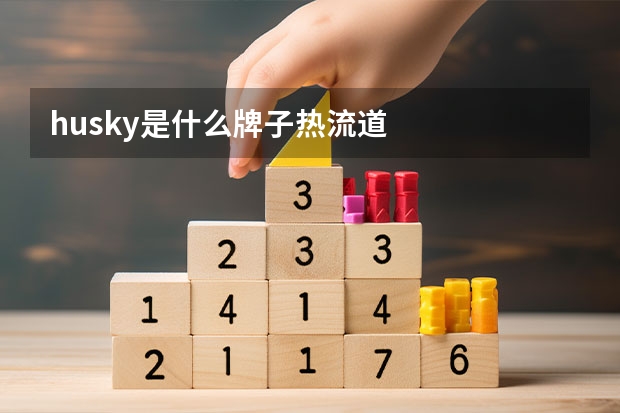 husky是什么牌子热流道