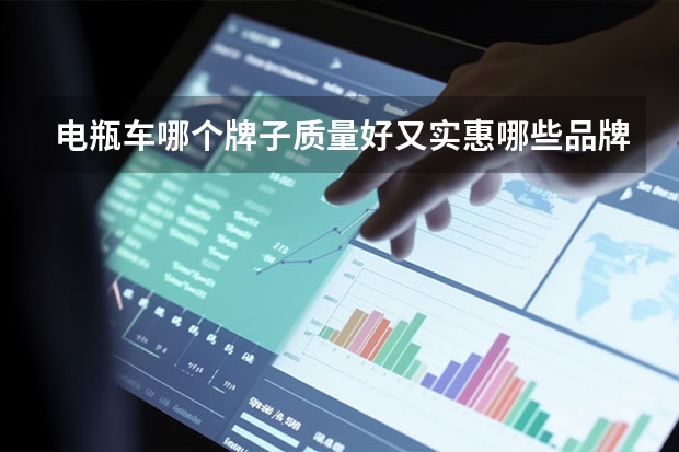 电瓶车哪个牌子质量好又实惠哪些品牌