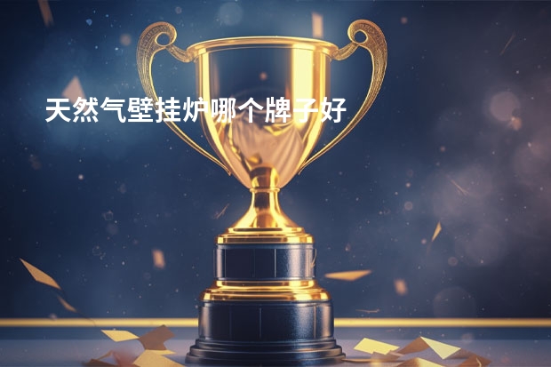 天然气壁挂炉哪个牌子好
