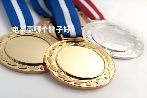 电茶壶哪个牌子好？