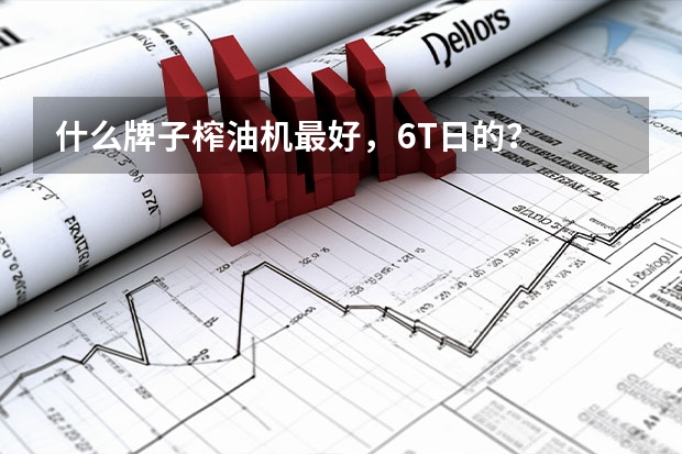 什么牌子榨油机最好，6T日的？