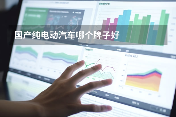 国产纯电动汽车哪个牌子好