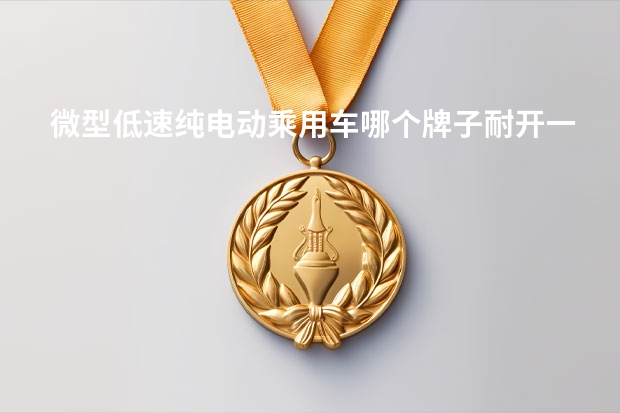 微型低速纯电动乘用车哪个牌子耐开一点？