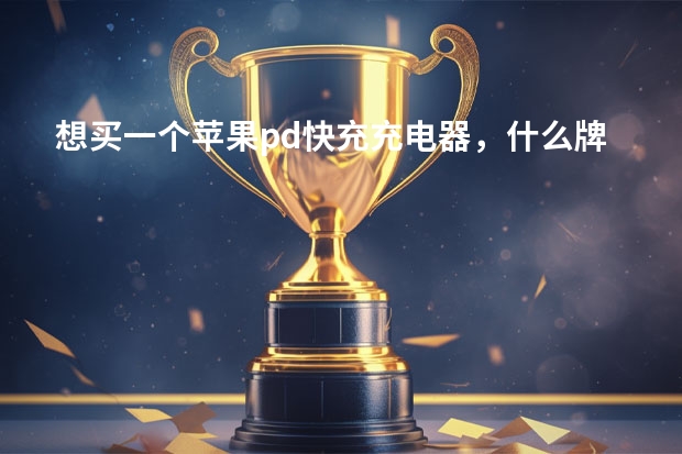 想买一个苹果pd快充充电器，什么牌子的好