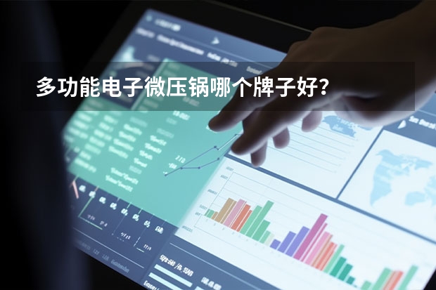 多功能电子微压锅哪个牌子好？