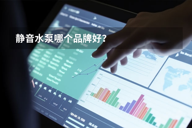 静音水泵哪个品牌好？