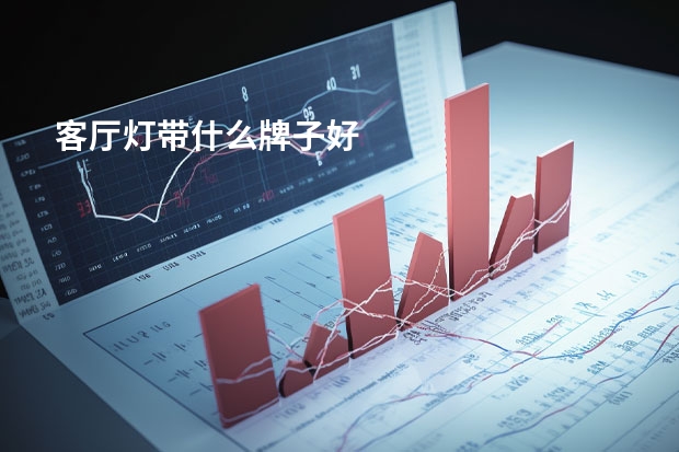 客厅灯带什么牌子好